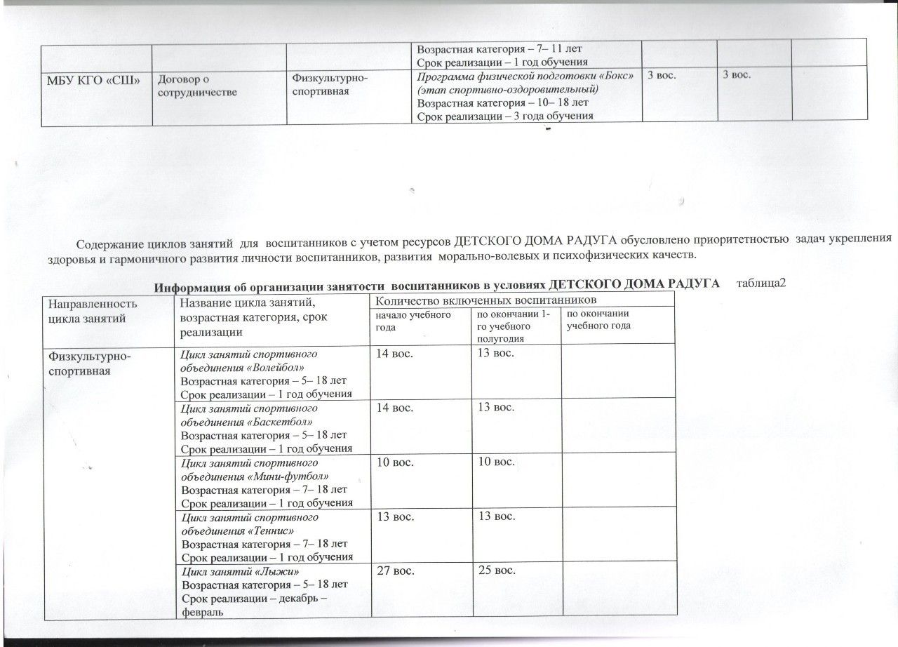 Дополнительное образование и занятость воспитанников